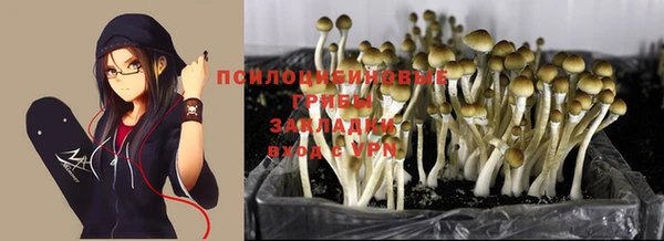 ешки Кулебаки