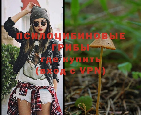 кокс Кукмор