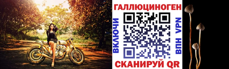 дарнет шоп  Шатура  Галлюциногенные грибы GOLDEN TEACHER 