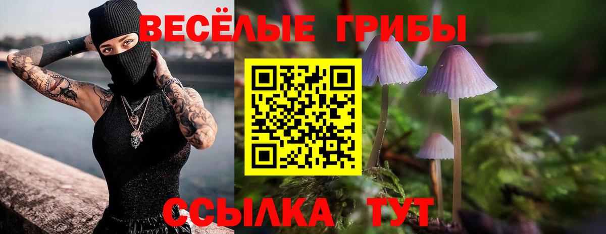 Псилоцибиновые грибы прущие грибы  Шатура  Псилоцибиновые грибы Magic Shrooms 