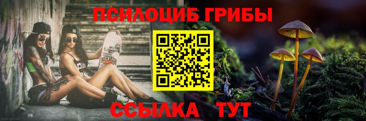 Псилоцибиновые грибы GOLDEN TEACHER Шатура