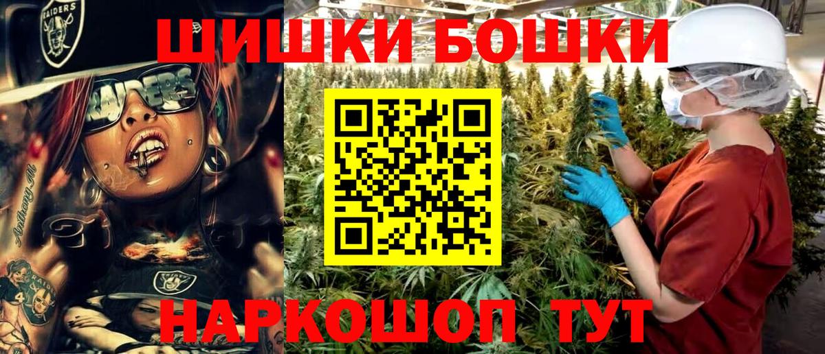 Бошки Шишки планчик Шатура